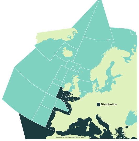 Map of the known distribution of the Undulate Ray