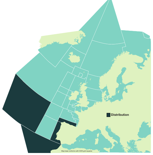 Map of the known distribution of the Rough Longnose Dogfish