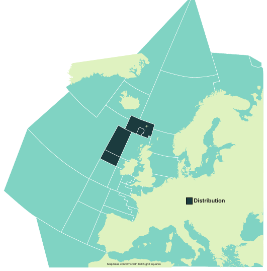 Map of the known distribution of the Smalleye Catshark