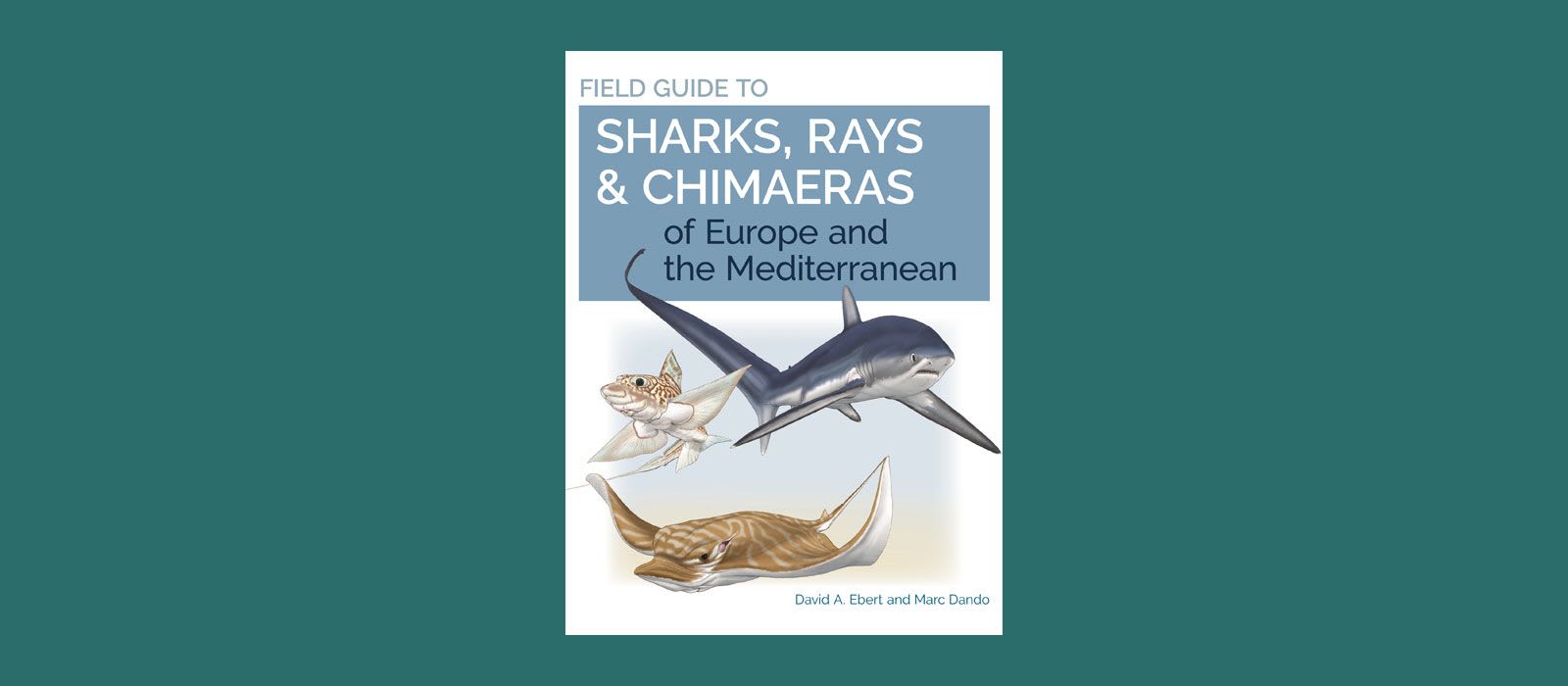Book Review: Field Guide to Sharks of Europe
