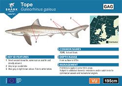 Tope Pocket Guide (pdf)