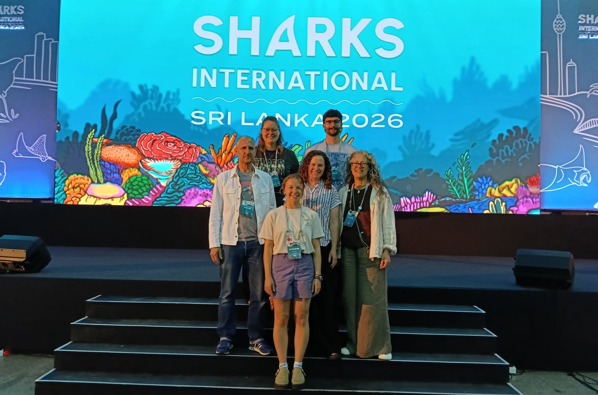 Sharks International 2026